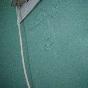 Meet your Posher, Reyna